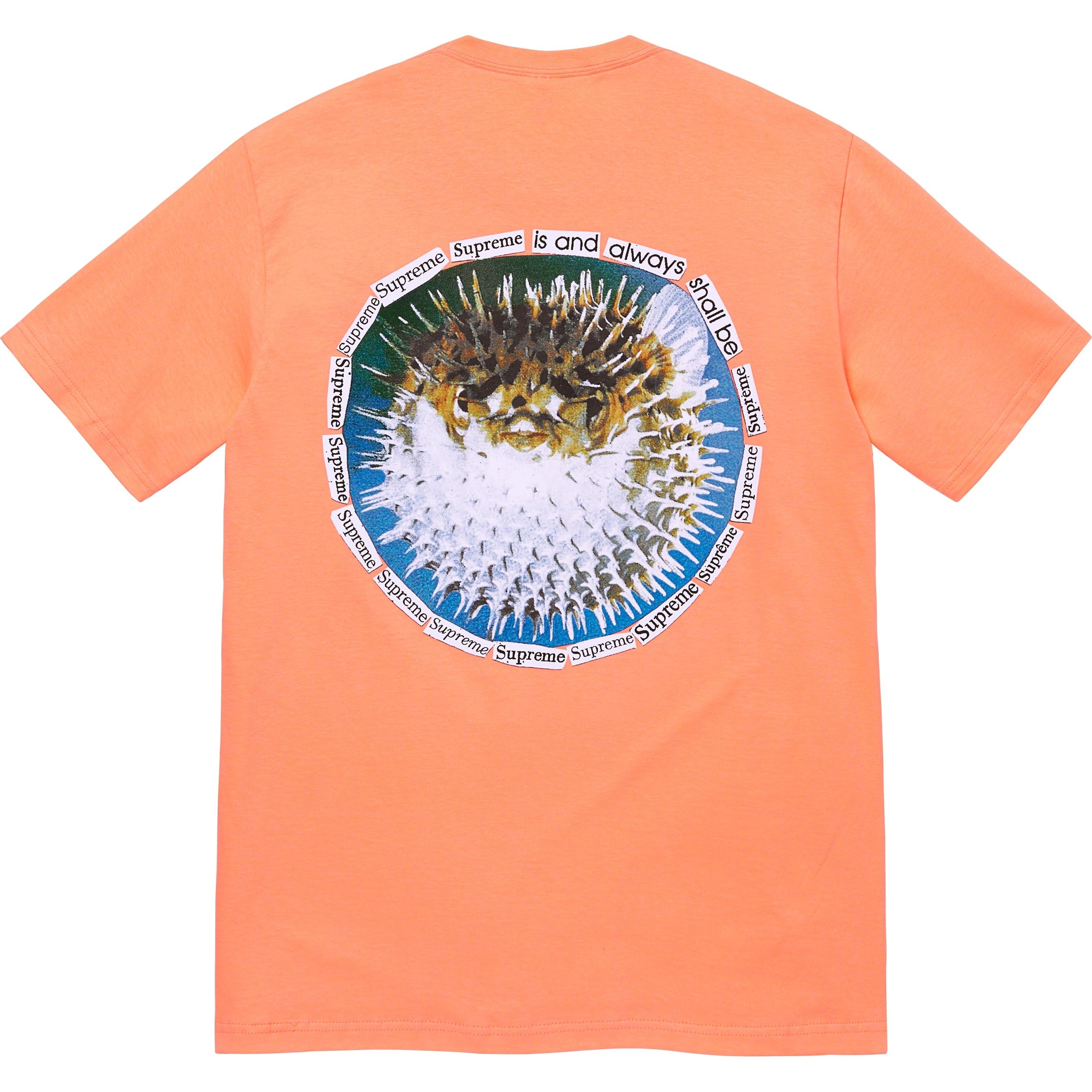 Blowfish Tee view 5